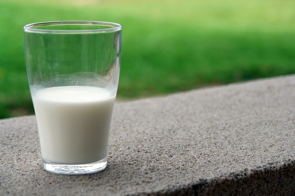 Milk and dairy products — calcium rich foods
