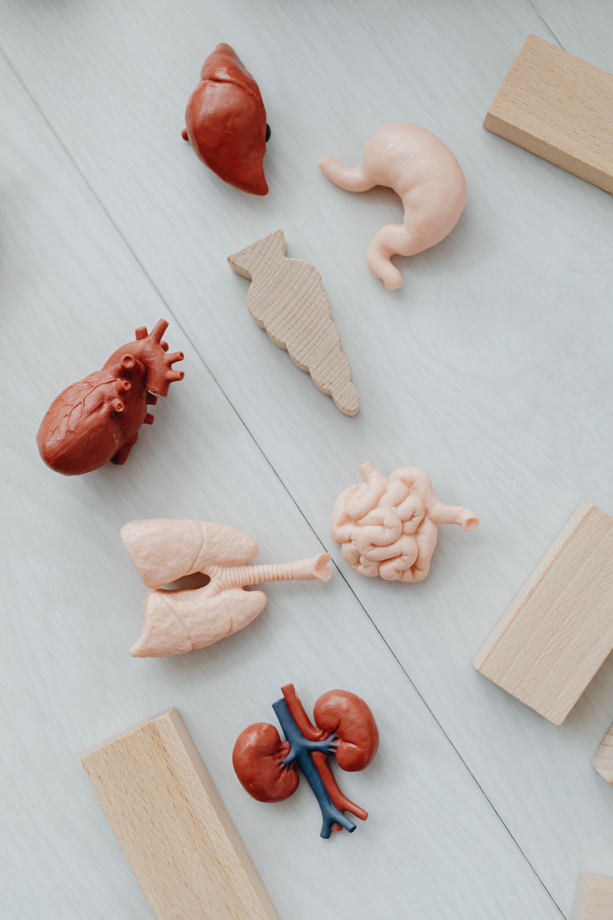 Kidney health and kidney stone treatment